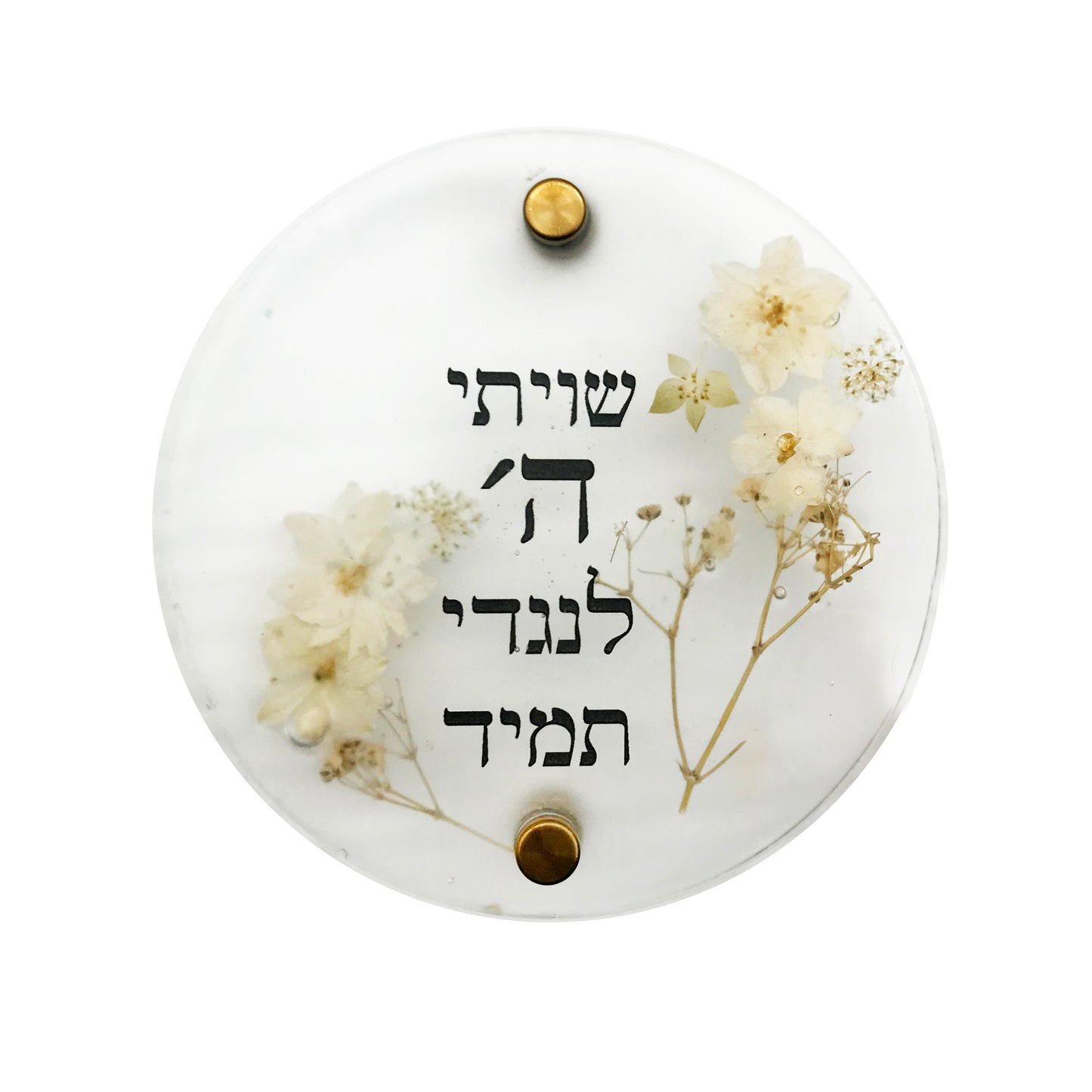 Judaica Plaque - 7.5" (pegs)